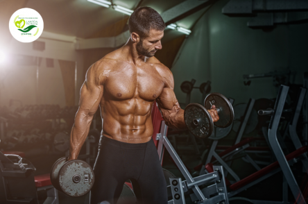 Thực Phẩm Chức Năng Cho Người Tập Gym: Tối Ưu Hóa Tập Luyện