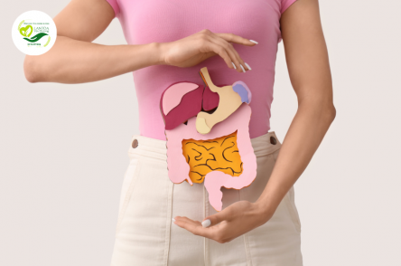 Chọn Thực Phẩm Chức Năng Hỗ Trợ Tiêu Hóa Đúng Để Sống Khỏe