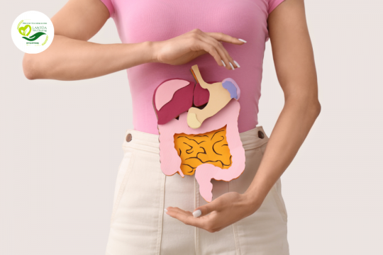 Chọn Thực Phẩm Chức Năng Hỗ Trợ Tiêu Hóa Đúng Để Sống Khỏe